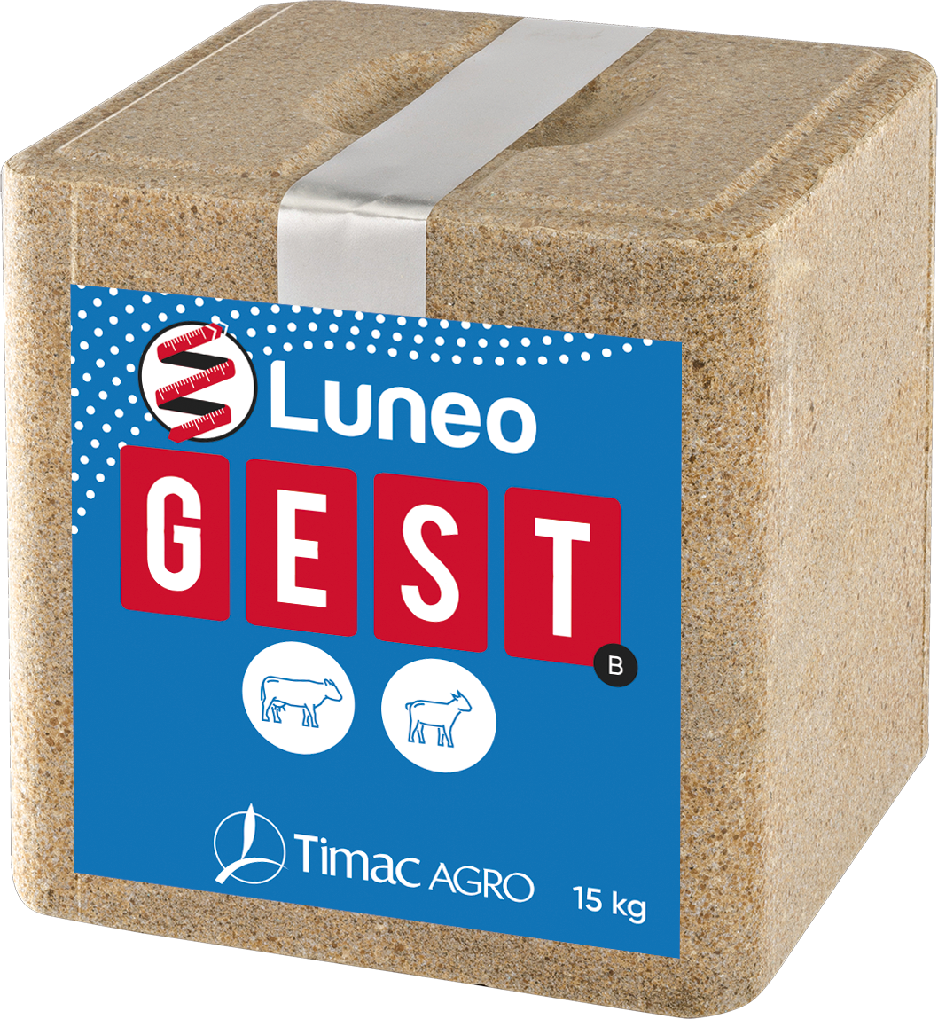 Luneo Gest B