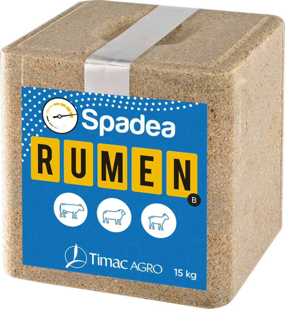 Spadea Rumen B