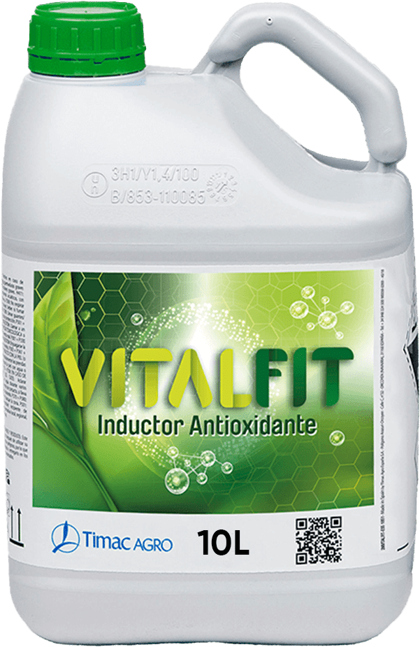 VITALFIT